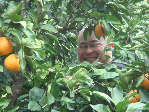 Ί炪ĂIh