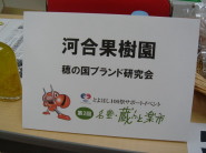 ͍ʎ@IN@uh