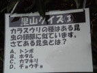 RNCY